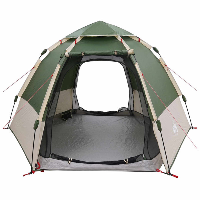 Cort Instant cu depozitare Verde 280 x 280 x 160 cm Oțel - WALTI WALTI