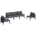Set de canapele pentru grădină 5 pcs Antracit Oțel - WALTI WALTI