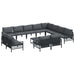 Set de canapele pentru grădină 13 pcs Antracit Oțel - WALTI WALTI