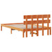  WALTI