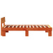 Cadru de pat Maroniu cerat 75 x 190 cm Lemn de pin masiv - WALTI WALTI