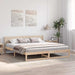Cadru de pat natural 200 x 200 cm Lemn de pin masiv - WALTI WALTI
