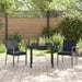 Set de masă pentru grădină 3 pcs Negru Rattan poli - WALTI WALTI