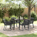 Set de masă pentru grădină 5 pcs Negru Rattan poli - WALTI WALTI