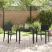 Set de masă pentru grădină 3 pcs Negru Rattan poli - WALTI WALTI