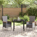 Scaune de Exterior 3 pcs Gri Gri închis 80 x 80 x 73 cm - WALTI WALTI