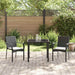 Set de Scaune de Grădină cu pernă 3 pcs Negru 80 x 80 x 73 cm - WALTI WALTI