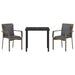Set de Dining pentru Grădină cu pernă cu pernă 3 pcs Gri 80 x 80 x 73 cm - WALTI WALTI