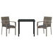 Set de scaune de grădină gri cu pernă 3 pcs Gri 80 x 80 x 73 cm - WALTI WALTI