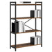 Bibliotecă Lemn vechi 80 x 30 x 118 cm Lemn compozit - WALTI WALTI
