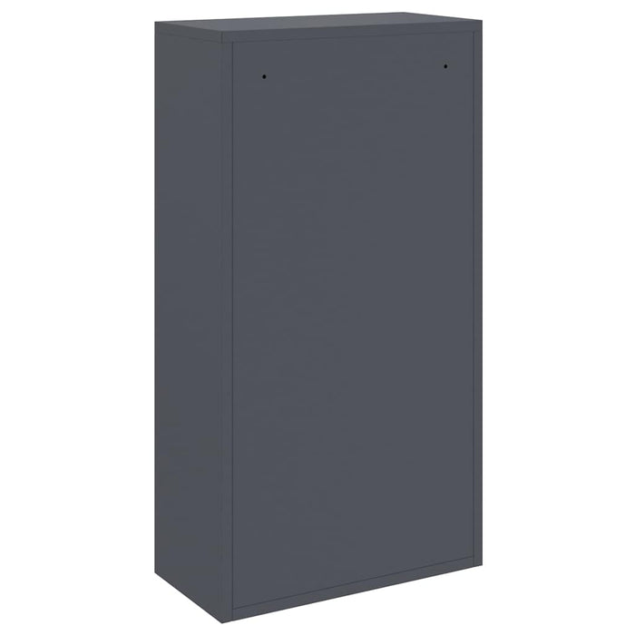 Cutie pentru colet cu depozitare Antracit 44 x 22 x 82 cm Oțel - WALTI WALTI
