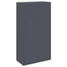 Cutie pentru colet cu depozitare Antracit 44 x 22 x 82 cm Oțel - WALTI WALTI