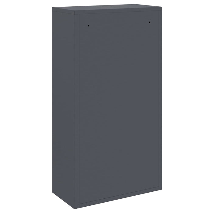 Cutie pentru colet cu depozitare Antracit 44 x 22 x 82 cm Oțel - WALTI WALTI