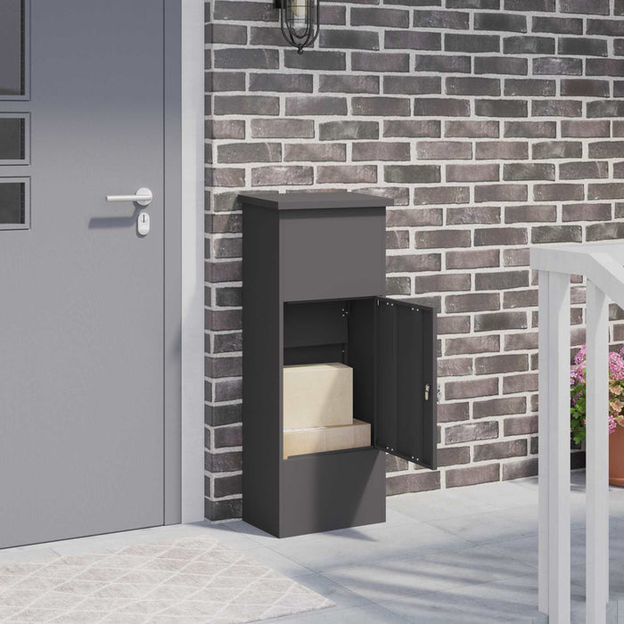 Cutie pentru colet cu ușă Negru 44,5 x 29 x 110,5 cm Oțel - WALTI WALTI