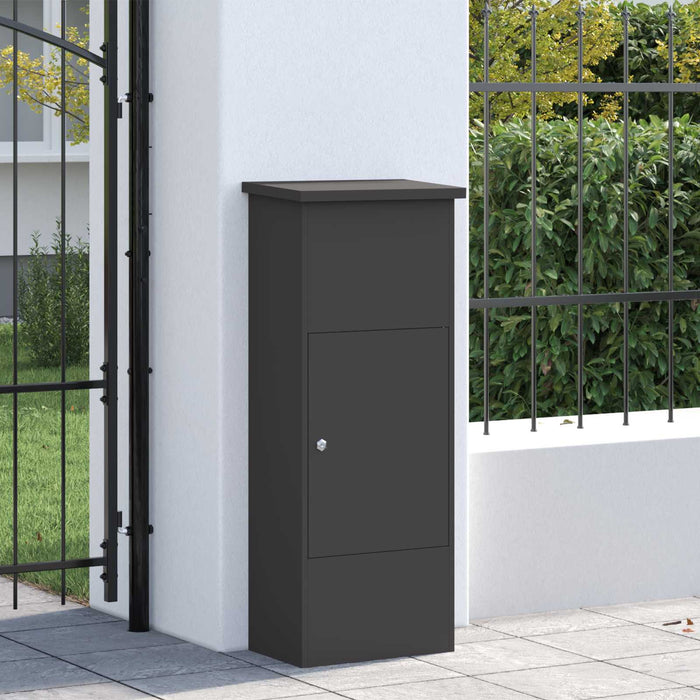 Cutie pentru colet cu ușă Negru 44,5 x 29 x 110,5 cm Oțel - WALTI WALTI