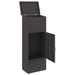 Cutie pentru colet cu ușă Negru 44,5 x 29 x 110,5 cm Oțel - WALTI WALTI