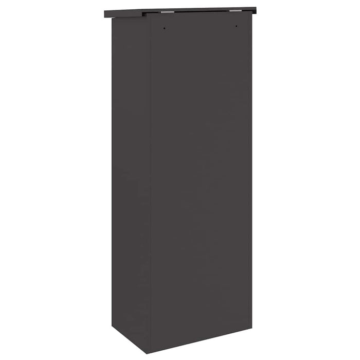 Cutie pentru colet cu ușă Negru 44,5 x 29 x 110,5 cm Oțel - WALTI WALTI
