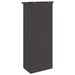 Cutie pentru colet cu ușă Negru 44,5 x 29 x 110,5 cm Oțel - WALTI WALTI