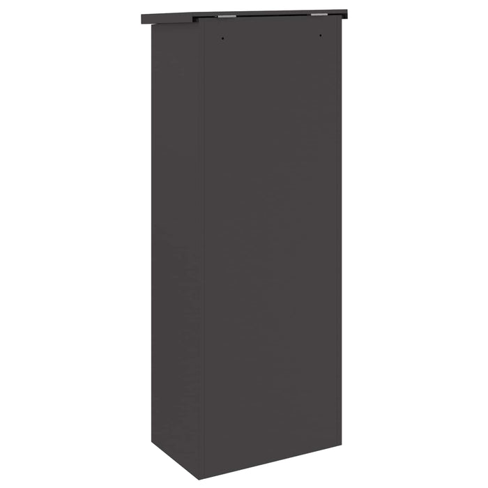 Cutie pentru colet cu ușă Negru 44,5 x 29 x 110,5 cm Oțel - WALTI WALTI