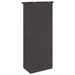 Cutie pentru colet cu ușă Negru 44,5 x 29 x 110,5 cm Oțel - WALTI WALTI