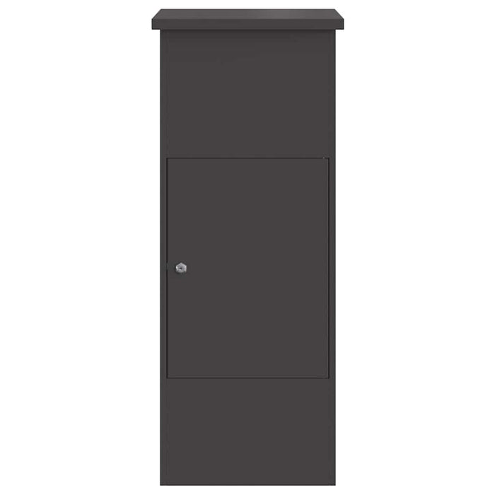 Cutie pentru colet cu ușă Negru 44,5 x 29 x 110,5 cm Oțel - WALTI WALTI