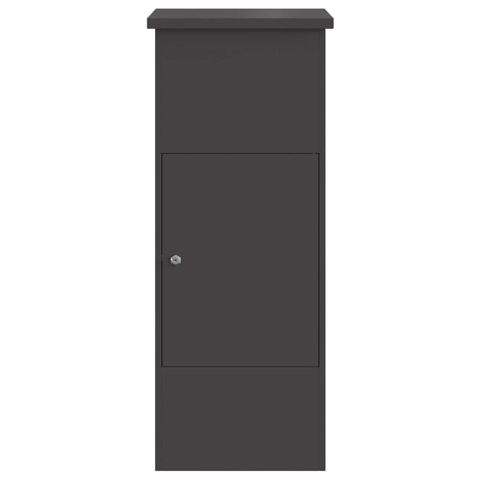 Cutie pentru colet cu ușă Negru 44,5 x 29 x 110,5 cm Oțel - WALTI WALTI