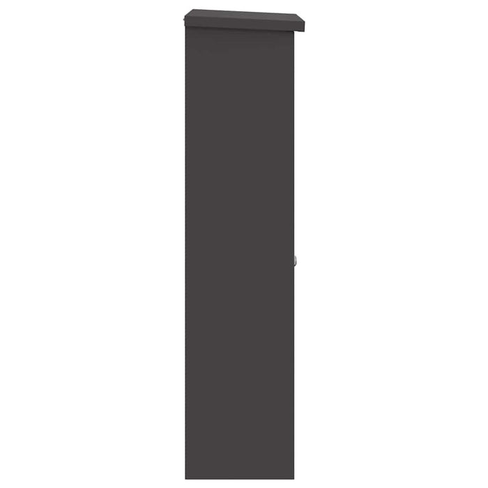 Cutie pentru colet cu ușă Negru 44,5 x 29 x 110,5 cm Oțel - WALTI WALTI