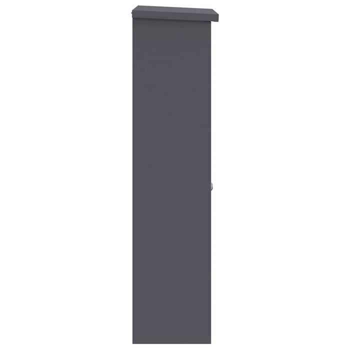 Cutie pentru colet cu ușă Antracit 44,5 x 29 x 110,5 cm Oțel - WALTI WALTI