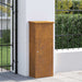 Cutie pentru colet cu depozitare Ruginit 44,5 x 29 x 110,5 cm - WALTI WALTI