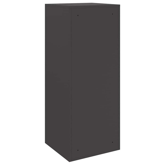 Cutie pentru colet cu depozitare Negru 41 x 38 x 103 cm Oțel - WALTI WALTI