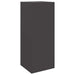 Cutie pentru colet cu depozitare Negru 41 x 38 x 103 cm Oțel - WALTI WALTI