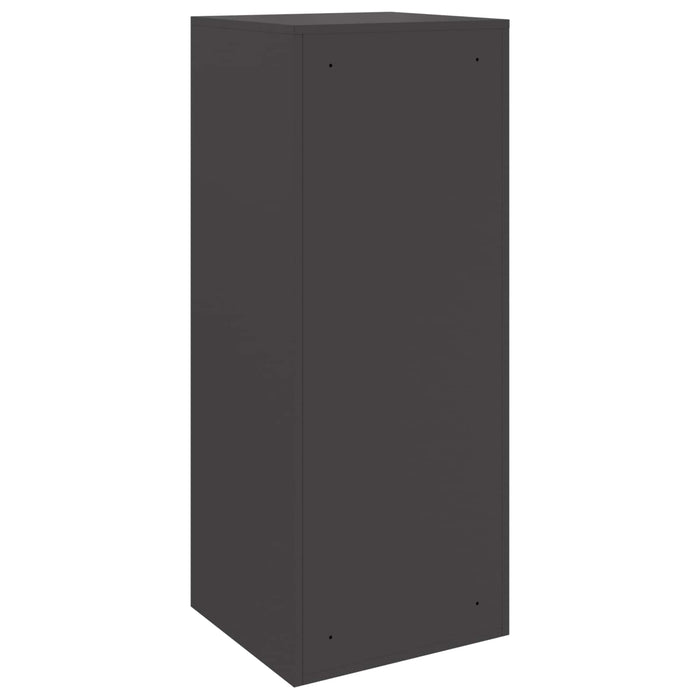 Cutie pentru colet cu depozitare Negru 41 x 38 x 103 cm Oțel - WALTI WALTI