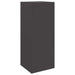 Cutie pentru colet cu depozitare Negru 41 x 38 x 103 cm Oțel - WALTI WALTI