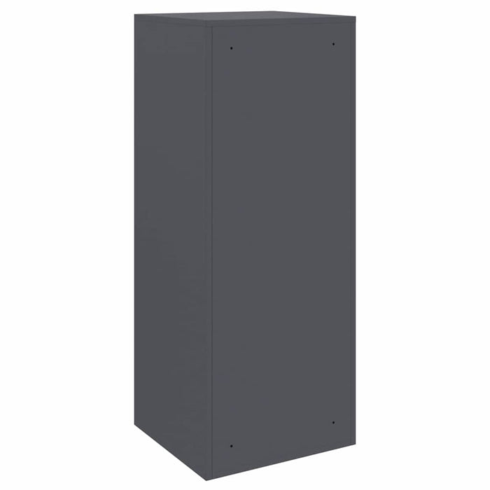 Cutie pentru colet cu depozitare Antracit 41 x 38 x 103 cm Oțel - WALTI WALTI