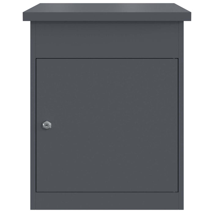Cutie pentru colet cu ușă Antracit 47.5 x 38 x 59 cm Oțel - WALTI WALTI