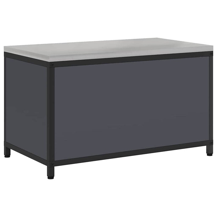 Depozitare pentru bucătărie Antracit 60 x 50 x 92 cm Oțel - WALTI WALTI