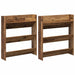 Dulap pentru pantofi cu raft 2 pcs Lemn vechi 84 x 18 x 90 cm - WALTI WALTI