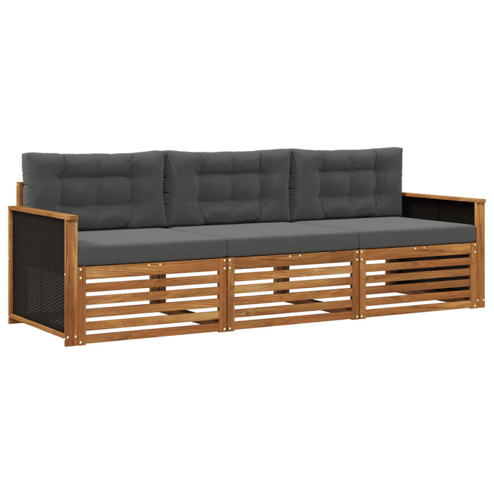 Set de canapele de exterior 3 pcs Natural și Antracit Poliester WALTI