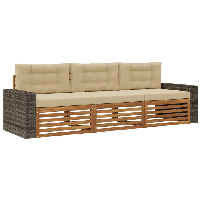 Set de canapele de exterior 3 pcs Natural și Bej Poliester WALTI
