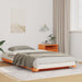 Cadru de pat Maroniu cerat 100 x 210 cm Lemn de pin masiv - WALTI WALTI