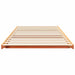 Cadru de pat Maroniu cerat 80 x 220 cm Lemn de pin masiv - WALTI WALTI