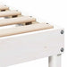 Cadru de pat Alb 90 x 220 cm Lemn de pin masiv - WALTI WALTI