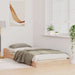 Cadru de pat natural 80 x 210 cm Lemn de pin masiv - WALTI WALTI