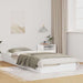 Cadru de pat Alb 100 x 220 cm Lemn de pin masiv - WALTI WALTI