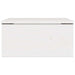 Noptieră 2 pcs Alb 37 x 35 x 18,5 cm Lemn masiv de pin - WALTI WALTI