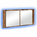 Cameră de Oglindă LED Lemn vechi 100 x 12 x 45 cm Lemn compozit - WALTI WALTI