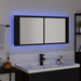 Cameră de Oglindă LED cu raft Stejar negru 100 x 12 x 45 cm - WALTI WALTI