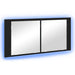 Cameră de Oglindă LED cu raft Stejar negru 100 x 12 x 45 cm - WALTI WALTI