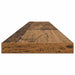 Raft pentru cărți 4 pcs Maro 100 x 10 x 1.5 cm Lemn compozit - WALTI WALTI