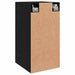Dulap pentru TV pe Perete Stejar Negru 30,5 x 30 x 60 cm - WALTI WALTI